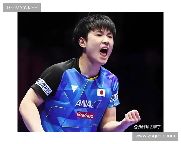 以石头再战张本智和书写新篇章 以石头再战张本智和书写新篇章